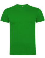 RY6502_Grass-Green-t-shirt