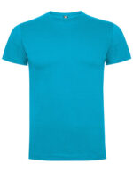 RY6502_Turquoise-t-shirt